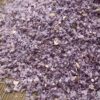 Kentucky Blue Corn Meal - Image 3