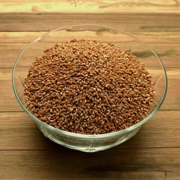 Espresso Hard Red Wheat Berries - Image 2