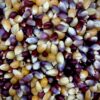 Organic Gourmet Rainbow Popcorn - Image 2