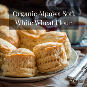 Organic Alpowa Soft White Wheat Flour