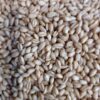 Alpowa Soft White Wheat Berries
