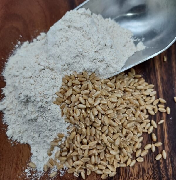 Edison Hard White Wheat Flour - Image 6