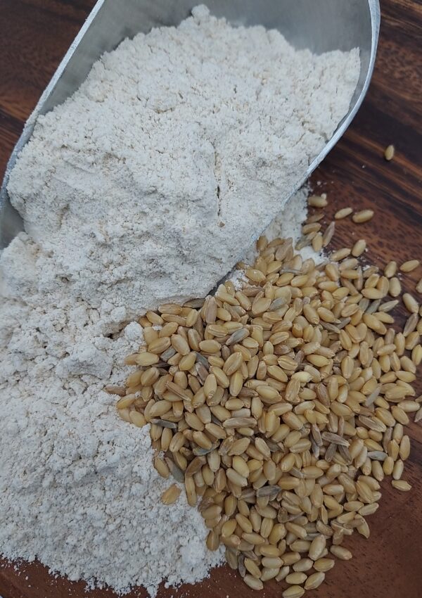 Wit Wolkoring/Abruzzi Rye Flour - Image 2